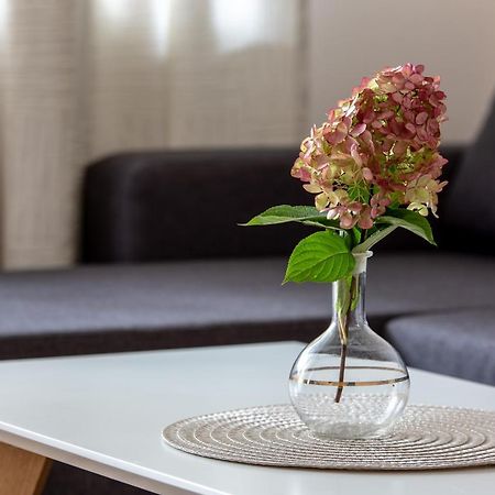 Violetos Lux Apartamentai2 دروسكينينكاي المظهر الخارجي الصورة