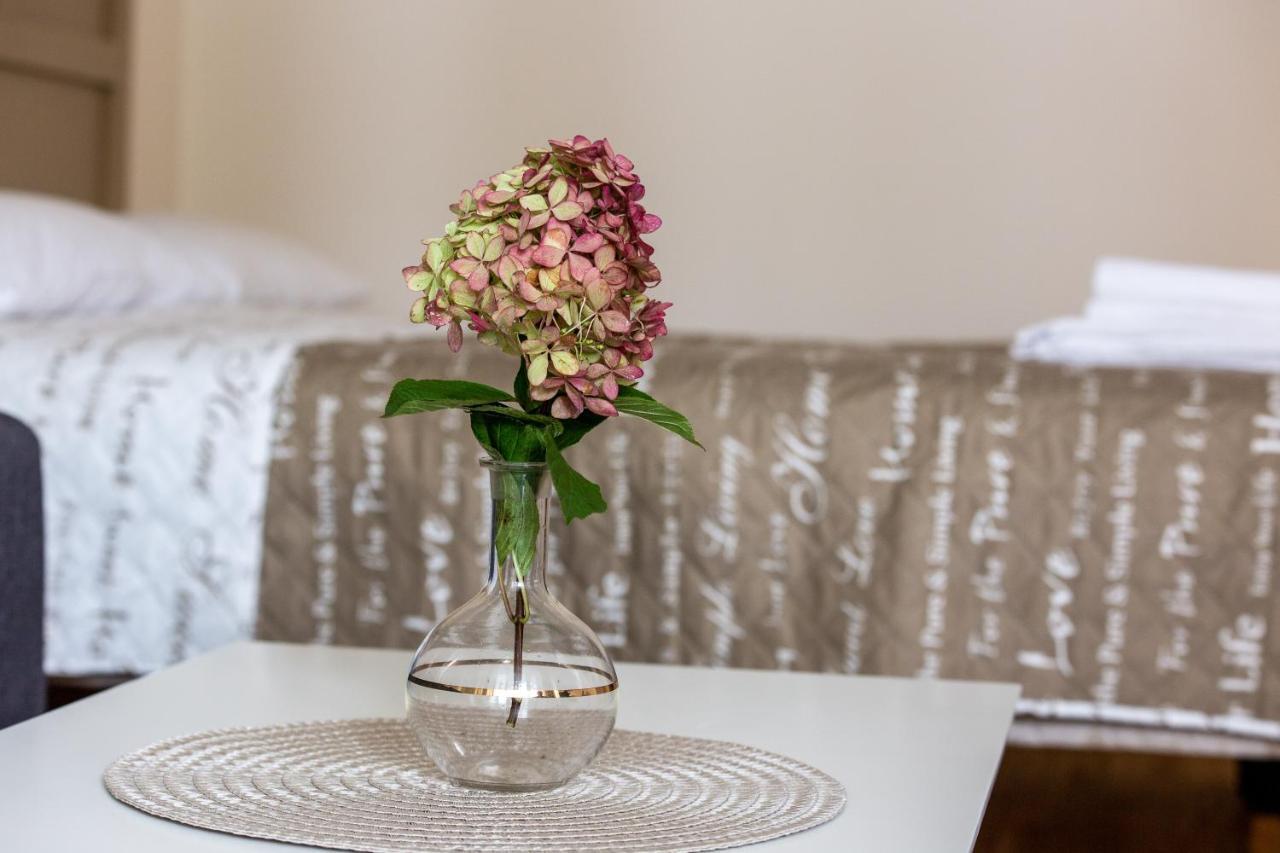Violetos Lux Apartamentai2 دروسكينينكاي المظهر الخارجي الصورة
